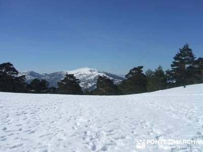 Collado Ventoso - Sierra de Guadarrama; Senderismo de ensueño; Beneficios para la salud